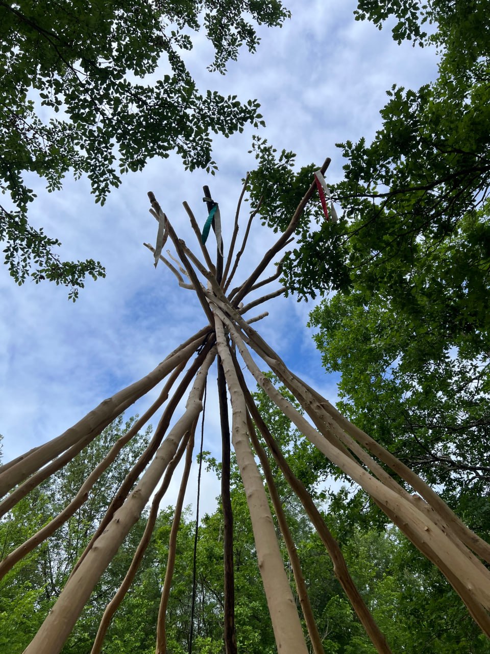 Le sommet du tipi vu depuis le sol, les perches réunies contre le ciel